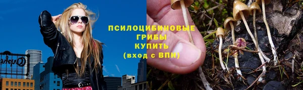 шишки Алексеевка